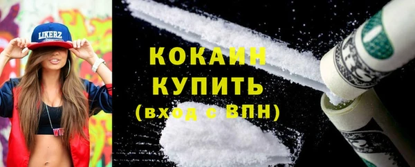 PSILOCYBIN Лиски
